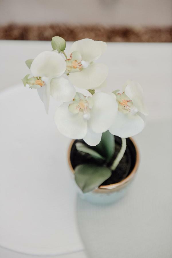 Apartman M5 จาโกโว ภายนอก รูปภาพ